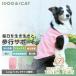 �A�C�h�b�O iDog UNAGE �A���G�C�W ����^���p �E�F���l�X�E�F�A AIRPUFF Light ��J���^���N �A�C�h�b�O ���[����OK[16878]�y�V�j�A ���p �� �Z���u�z