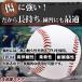 �d���싅�{�[�� 6�� 12�� ���K�p �d���� �o�b�e�B���O���K �L���b�`�{�[�� �g�X�o�b�e�B���O �e�B�[�o�b�e�B���O �S���ߋ� �������� ������ �֘A�摜3