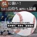 �d���싅�{�[�� 12�Z�b�g ���K�p �d���� �o�b�e�B���O���K �L���b�`�{�[�� �g�X�o�b�e�B���O �e�B�[�o�b�e�B���O �S���ߋ� �֘A�摜3