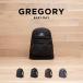  параллель импортные товары Gregory легкий teiGREGORY EASY DAY рюкзак женский мужской большая вместимость бизнес ходить на работу посещение школы 20L A4 рюкзак рюкзак бренд 
