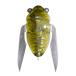 GH�t�� FF CADDIS OLIVE ���K�o�X