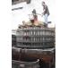 �N���X�g�t�E�p�J���@���@���E�h�E�v�����[���@2025/ CHRISTOPHE PACALET�@VIN DE PRIMEUR�@2025 �֘A�摜4