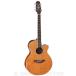 Takamine 100꡼ PTU121CVN (gloss)(ƥå/쥢)ڹǽ֥ץ쥼ȡ(ͽ)ONLINE STORE