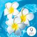  комплект бассейн spa стол украшение ( примерно 6cm x 9 шт. комплект ) вода . отходит .. плюмерия. искусственный цветок 
