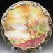 Old Noritake золотой пик галет способ пик вверх озеро . пейзаж . plate 24cm