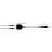 Victor стерео Mini Jack X2 - стерео Mini штекер (0.25m) TWC-12A