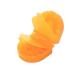 nomnom(nomnom). зуб кейс . зуб. . часть магазин 2 orange 