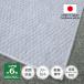  carpet 6 tatami made in Japan anti-bacterial deodorization light weight thin Gemini 261×352cm Edoma 6 tatami for gray . river industry corporation 