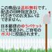 �X�e�b�J�[ �h���C�u���R�[�_�[  �^�撆 �X�e�b�J�[ ��� ���� �댯�^�] �΍�  �V�[�� �P�� �֘A�摜1