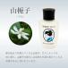 ���W���R�������؍� 20mL �m ���؍� �� �R���q �M�q ������ �O���[���e�B�[ ���h ���s �L�����N�Z�C ���� �t���O�����X �M�t�g �}�~�[�T���S �v���[���g ] �֘A�摜5