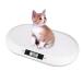  pet scales digital pet scales . small size battery type thin type small size dog cat rabbit weight control for pets scale measurement 10g unit?? large 20kg