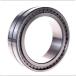SL024920-A INA/Schaeffler Technologies 100 x 140 x 40 mm Cyl롣ro ...