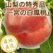 [ предварительный заказ ] белый . персик ( Special превосходящий )[4kg несессер ]( Yamanashi префектура Итиномия производство ..)* название производство земля Итиномия. Special превосходящий товар прямая поставка от производителя бесплатная доставка *7 месяц средний ... последовательный отправка * подарок на Bon Festival подарок 