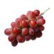  Sunny Dolce ( превосходящий товар )[2kg коробка (2~3.)] * Yamanashi префектура производство. красный ..