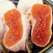  город рисовое поле хурма высушенный хурма сухофрукт 1kg 35~40 штук входит Nagano префектура производство бесплатная доставка 