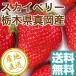  клубника фрукты fruits Sky Berry . лет .. новогоднее поздравление Tochigi префектура подлинный холм производство .. крупный 2 упаковка ввод примерно 620g бесплатная доставка прямая поставка от производителя подарок 