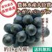  Special превосходящий nagano лиловый виноград фрукты .. для примерно 1kg 2. несессер ввод Nagano префектура производство прямая поставка от производителя бесплатная доставка подарок 