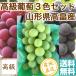  высококлассный ..3 вида комплект виноград фрукты подарок .. для 2kg 3~5. несессер ввод Yamagata префектура высота . производство бесплатная доставка прямая поставка от производителя 