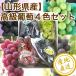  виноград фрукты Fruits превосходящий товар ..4 вида комплект автомобиль in мускат . дешево . Queen . чёрный ..2 вид 2kg коробка 4. ввод Yamagata префектура производство прямая поставка от производителя бесплатная доставка фрукты подарок 