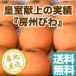  локва фрукты fruits императорская фамилия . сверху. качество .. локва подарок крупный размер 12~15 шарик ввод несессер Chiba префектура .. производство бесплатная доставка прямая поставка от производителя 