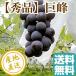  виноград фрукты Fruits.. превосходящий товар 3kg коробка 6~9. ввод Tochigi префектура производство прямая поставка от производителя бесплатная доставка подарок День почитания пожилых людей осталось жара . видеть Mai .