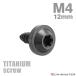 titanium винт M4×12mm таппинг винт звездообразный дыра имеется черный 1 шт JA1022