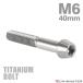 �`�^���{���g M6�~40mm P1.0 �e�[�p�[�w�b�h �Z�p���t�� �L���b�v�{���g �V���o�[ JA108