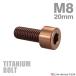 �`�^���{���g M8�~20mm P1.25 �X�g���[�g�L���b�v�{���g �X�����w�b�h �Z�p���t�� �u�����Y 1�� JA3076