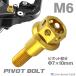  мотоцикл руль рычаг болт болт болт Φ7×10mm M6×14mm нержавеющая сталь Gold цвет TH0525