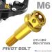  мотоцикл руль рычаг болт болт болт Φ8×17mm M6×13mm нержавеющая сталь Gold цвет TH0526