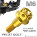  мотоцикл руль рычаг болт болт болт Φ8×10mm M6×13mm нержавеющая сталь Gold цвет TH0531