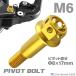  мотоцикл руль рычаг болт болт болт Φ8×17mm M6×13mm нержавеющая сталь Gold цвет TH0532