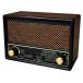 FESCO песня радио DX100 AM/FM с радио аудиоплеер SRDX-001