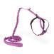 PetSafe( домашнее животное safe ) легкий walk кошка для Harness & банджи Lead кошка для шлейка с поводком комплект прогулка для .. трудно безопасность проект [da стойка rose S размер ]