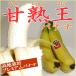 ... banana ..........6 pack entering 4~5./1 pack Philippines production | fruit banana......