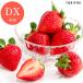  клубника . клубника Fukuoka префектура производство ....DX упаковка 2 упаковка ввод White Day . индустрия праздник входить . праздник фрукты .. подарок подарок . праздник .. внутри праздник ..
