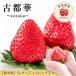  супер крупный клубника . клубника Nara префектура производство старый столица .5L размер 2 упаковка ввод . индустрия праздник . входить . праздник . фрукты подарок .. было использовано .. подарок праздник внутри праздник ... набор 