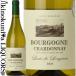  Louis draw ju long Bourgogne автомобиль rudone[2023] белый вино ..750ml / Франция AOP Bourgogne / Louis de Lorgeron Bourgogne Chardonnay