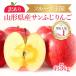  Yamagata префектура производство есть перевод . сырой яблоко 5kg (13~20 шар ) бесплатная доставка . для бытового использования 
