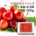  вишня Yamagata префектура производство Special превосходящий товар 500g средний ... подарок .. для бесплатная доставка 