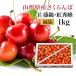  вишня Yamagata префектура производство 1kg роза .. super товар для бытового использования дом для бесплатная доставка M шар и больше сельское хозяйство . прямая поставка утро .. свежий 