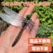 �I�j�����} ������ �u���[�` �X�Y���o�` �͂� �͂΂��� 14cm �H�΂��� ���S�s�� �Z�b�g �A�u ���� �� �ł��� �t�B�M�A  ��^ �傫�� �֘A�摜3
