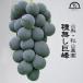 .. вид нет виноград 1kg 1~2. Yamanashi O-Bon .... предмет подарок бесплатная доставка фрукты .. было использовано почтовый заказ осень гора сельское хозяйство .