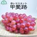  виноград ...1kg 1~2. Yamanashi производство бесплатная доставка .. подарок День почитания пожилых людей ....... предмет .. праздник . фрукты фрукты .. было использовано почтовый заказ осень гора сельское хозяйство .