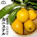  краб стерео ru Okinawa Ishigakijima 1kg Nankoku фрукты нет пестициды пестициды не использование убийца сорняков не использование 