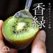  киви фрукты . зеленый 1.5kg местного производства Kagawa ..... фрукты kyuui почтовый заказ глубокий гора. киви 