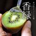  киви фрукты . зеленый 5kg местного производства Kagawa ..... фрукты kyuui почтовый заказ глубокий гора. киви 
