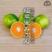  высшее . сырой мандарин есть перевод 5kg маленький шар Ehime сельское хозяйство дом прямая поставка прямая поставка от производителя ma luna ka сельское хозяйство .