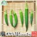  okro 2kg raw free shipping with translation less pesticide Okinawa prefecture production Ishigakijima production agriculture . direct delivery ... Okinawa production 