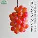  sunshine красный есть перевод 1kg 2~4. для бытового использования Yamanashi сельское хозяйство дом прямая поставка прямая поставка от производителя фрукты осень гора сельское хозяйство .